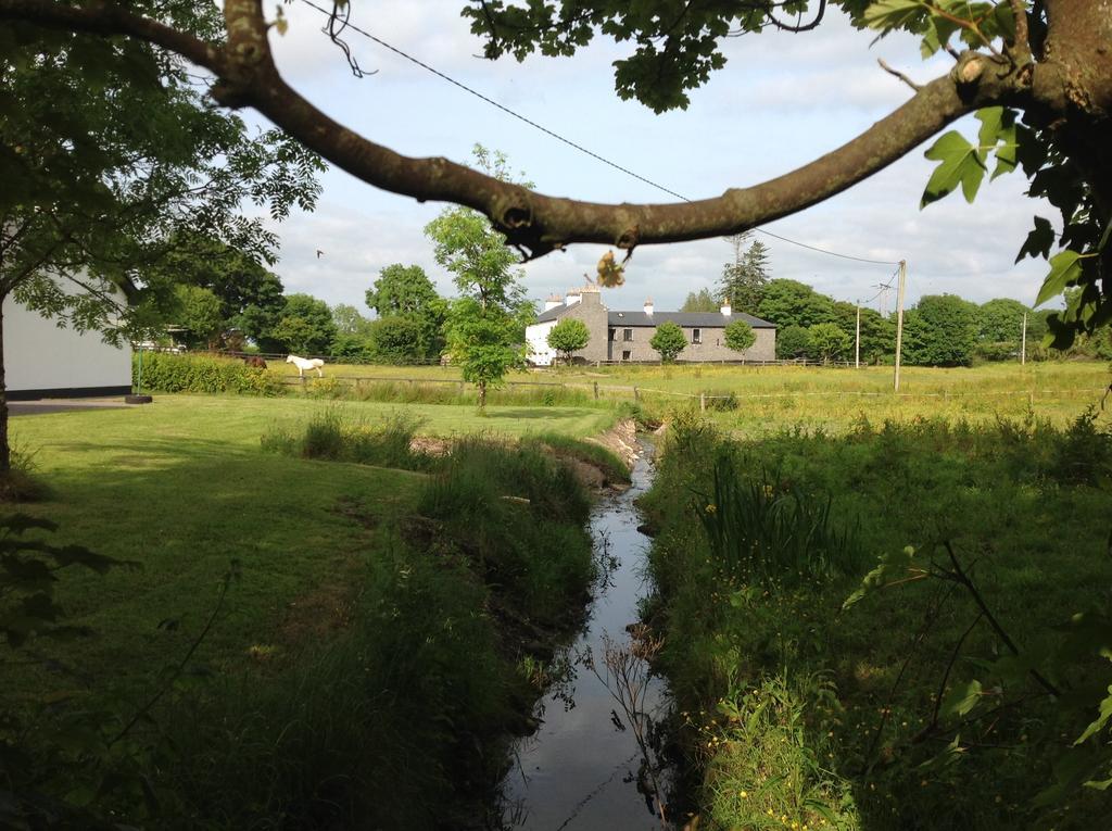 Cartron House Bed & Breakfast Ballinakill  Luaran gambar