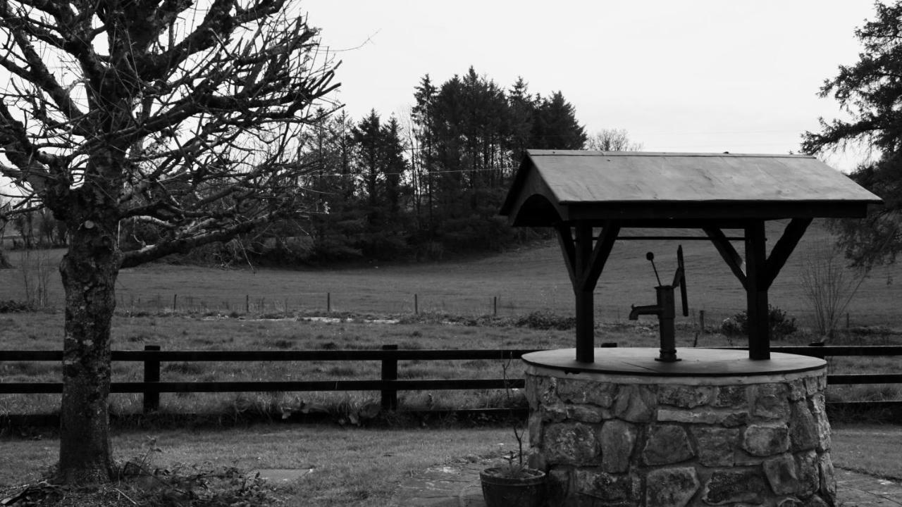 Cartron House Bed & Breakfast Ballinakill  Luaran gambar