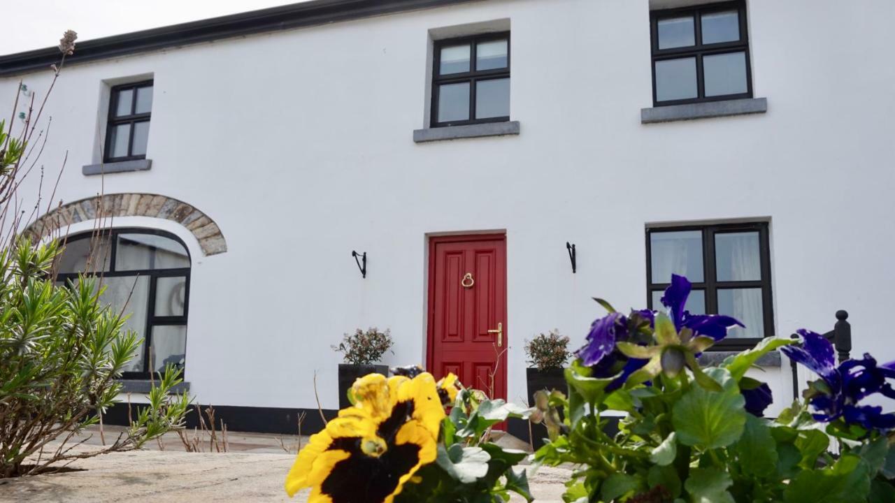 Cartron House Bed & Breakfast Ballinakill  Luaran gambar