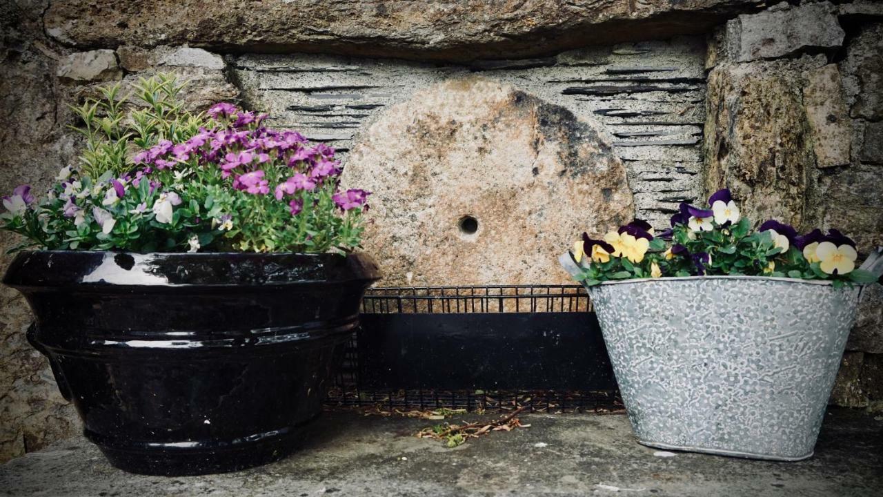 Cartron House Bed & Breakfast Ballinakill  Luaran gambar